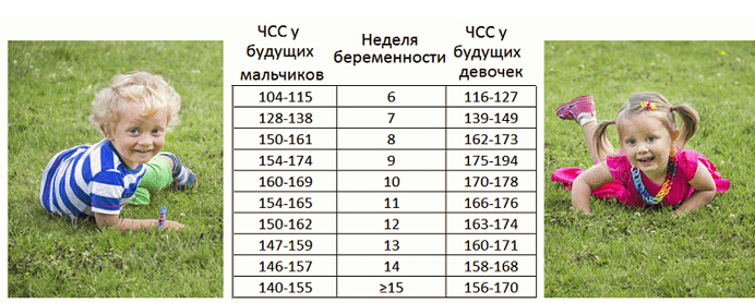 Узнать пол по частоте сердцебиения