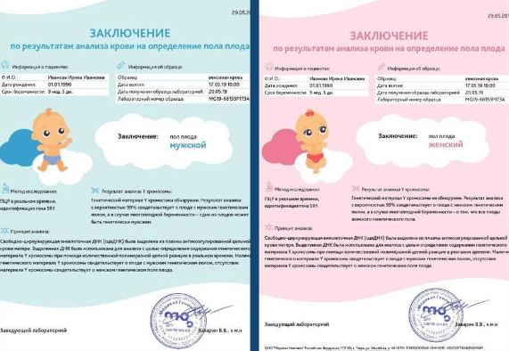 Узнать пол по ДНК – тесту